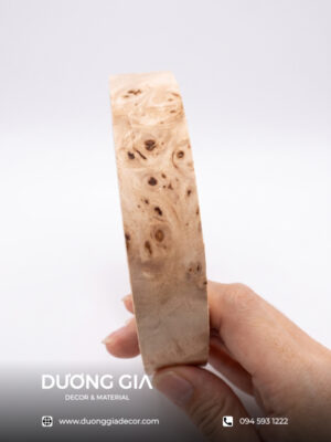 chỉ veneer mappa