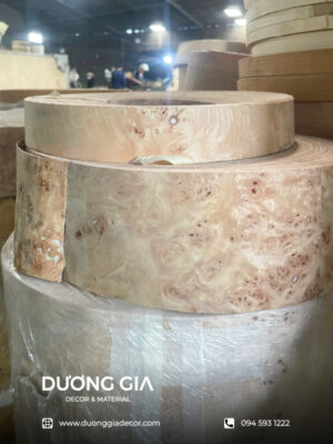 chỉ veneer mappa