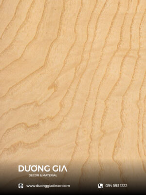Veneer Ash Lạng Tròn