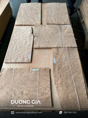Veneer Laurel
