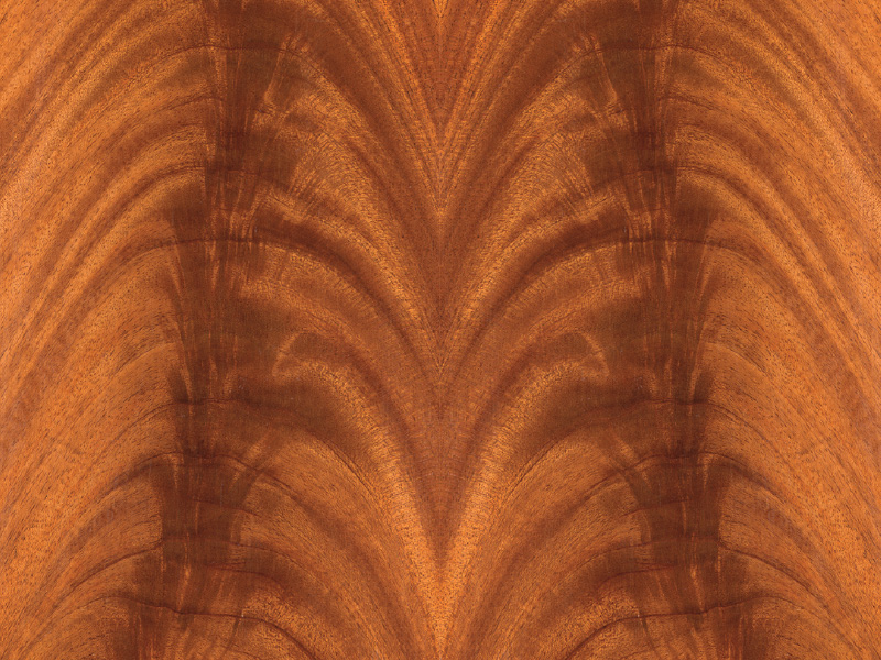 veneer mahogany crotch