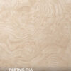 veneer nu ash
