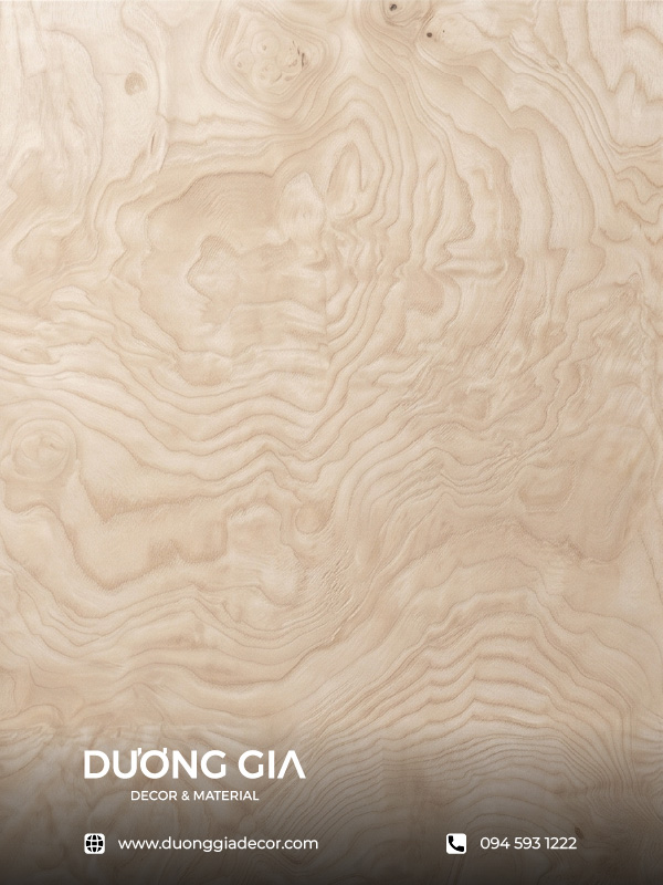 veneer nu ash
