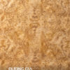veneer nu long não
