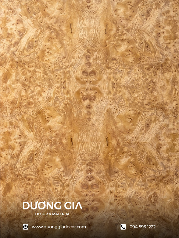 veneer nu long não