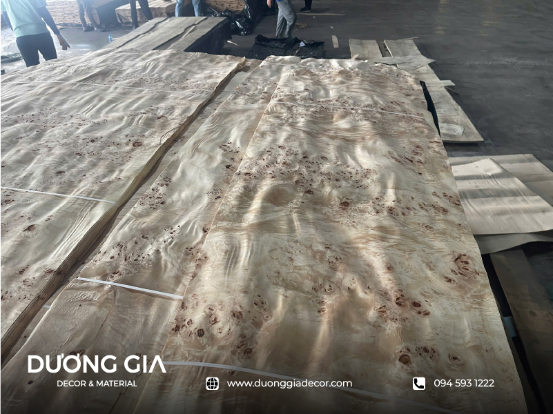 veneer nu mappa