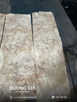 veneer nu mappa