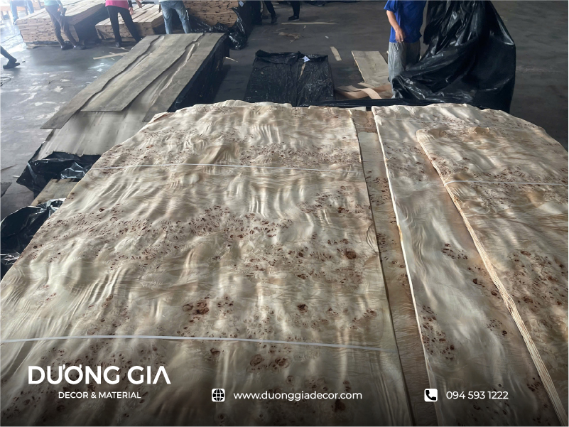 veneer nu mappa