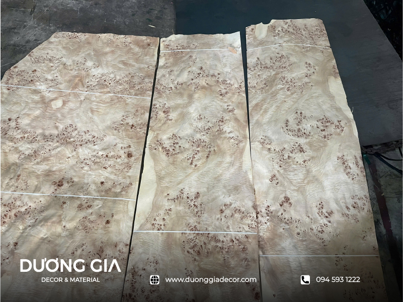 veneer nu mappa