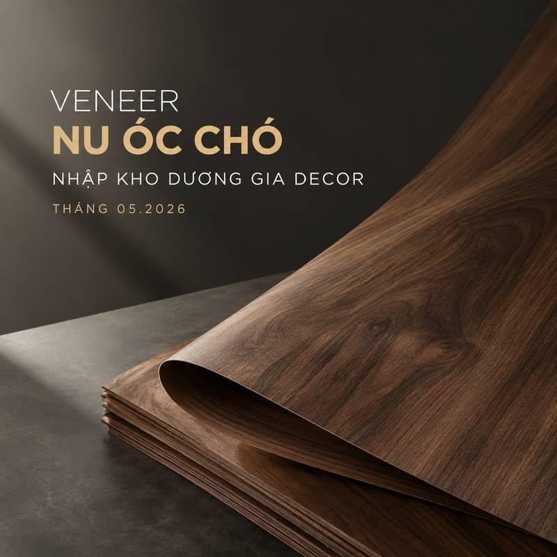 veneer nu óc chó