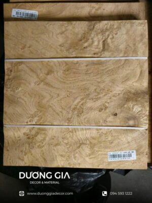veneer nu sồi