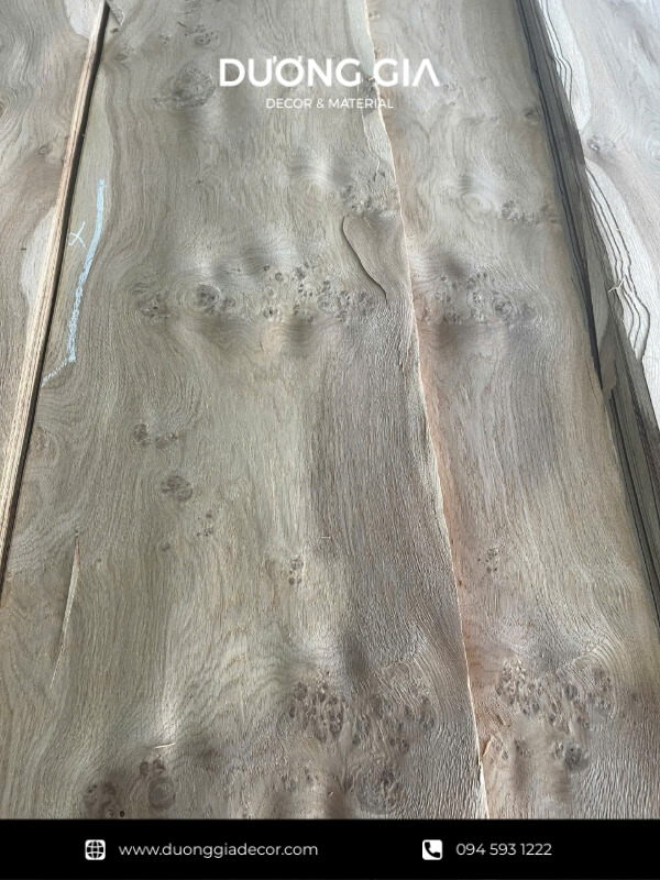 veneer nu sồi