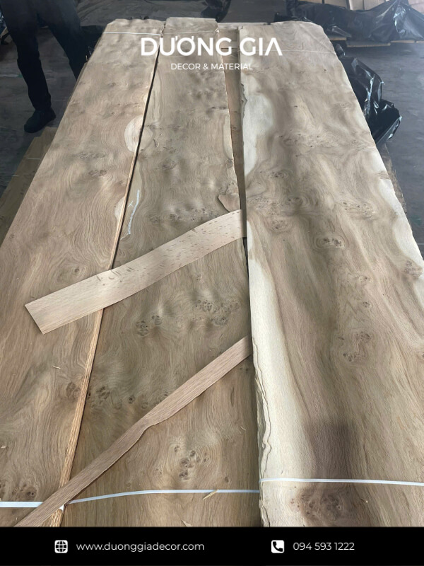 veneer nu sồi