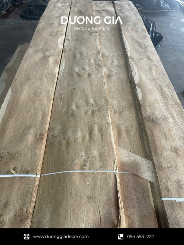 veneer nu sồi