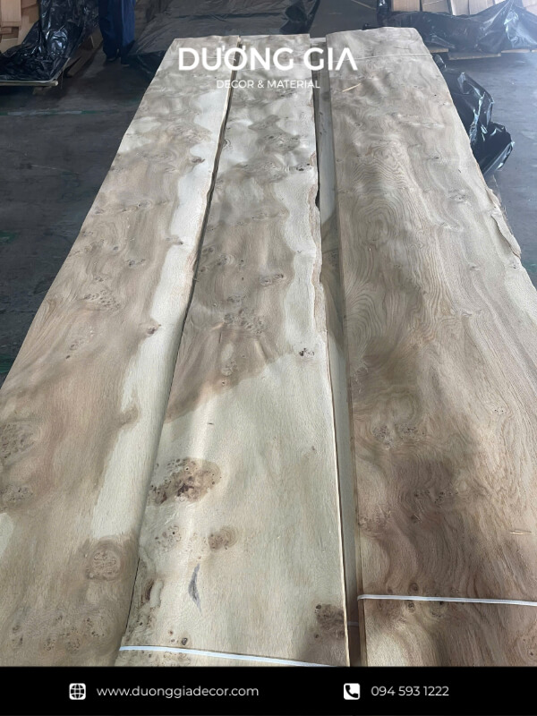 veneer nu sồi
