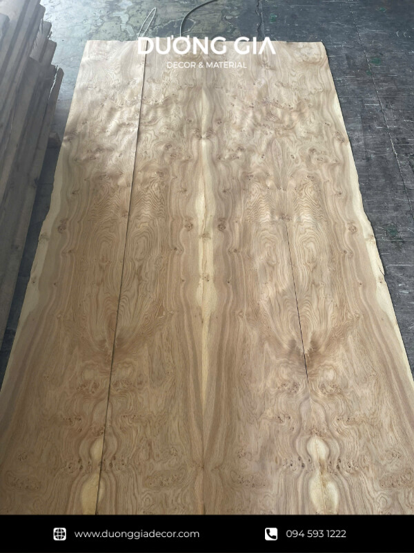 veneer nu sồi