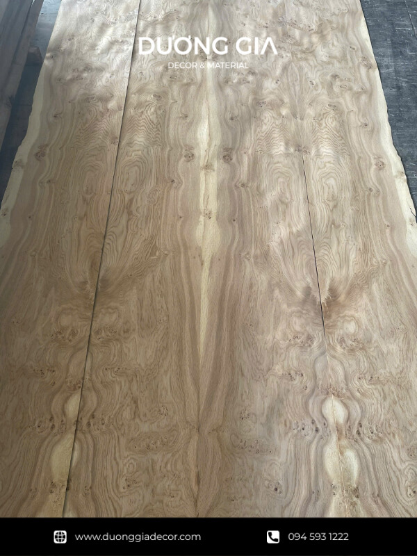 veneer nu sồi