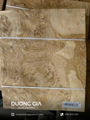 veneer nu sồi
