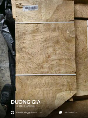 veneer nu sồi