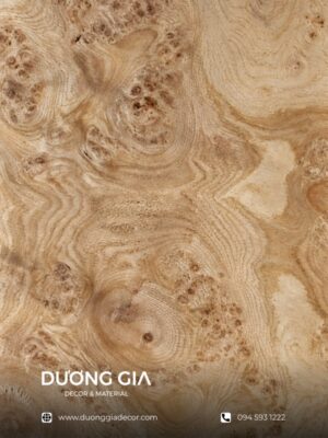 veneer nu sồi