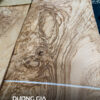 veneer olive