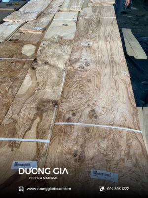 veneer olive